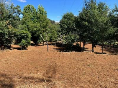 Acheter Maison Alxen r�gion PONTEVEDRA