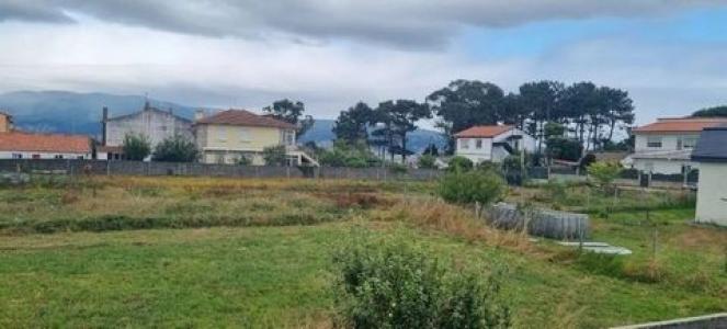 Annonce Vente Terrain Panxon