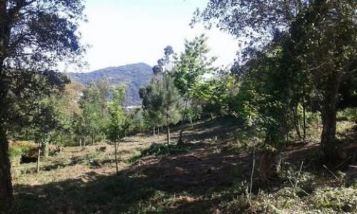 Acheter Terrain Eirass