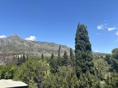 Acheter Maison 400 m2 Marbella