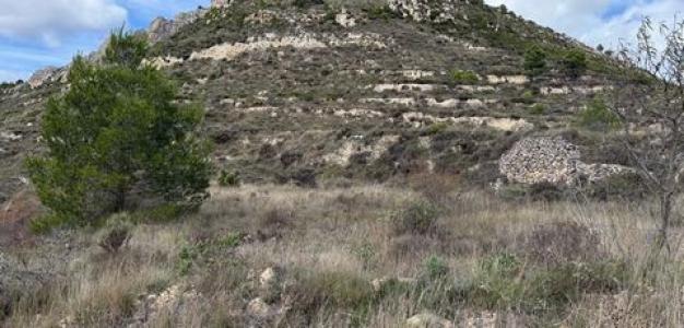 Annonce Vente Terrain Confrides