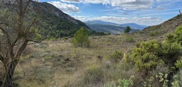 Acheter Terrain 1 m2 Confrides