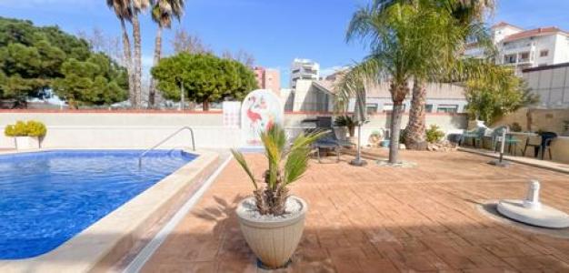 Acheter Appartement Torrevieja r�gion ALICANTE