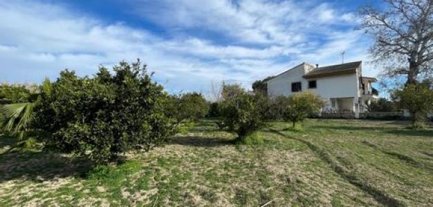 Vente Maison Benejuzar  A en Espagne