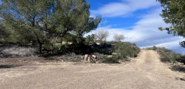 Acheter Maison 54 m2 Orihuela