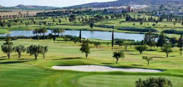 Acheter Terrain Algorfa r�gion ALICANTE