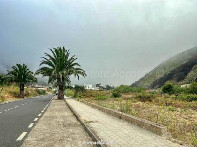 Annonce Vente Terrain Buenavista-del-norte