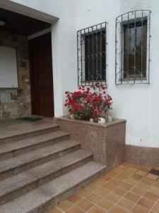 Vente Maison Nigran  PO en Espagne