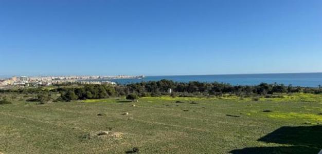 Vente Appartement Torrevieja  A en Espagne