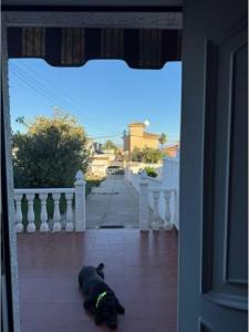 Vente Maison Torrevieja  A en Espagne