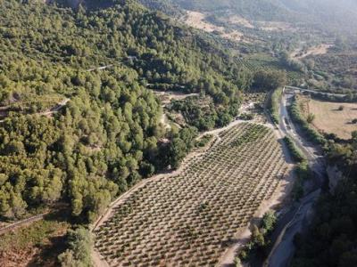 Acheter Maison 700 m2 Gaucin