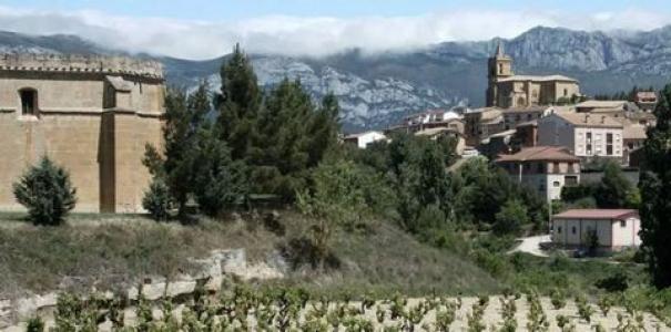 Acheter Maison 262 m2 Ribafrecha