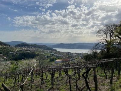 Annonce Vente Maison Cobres