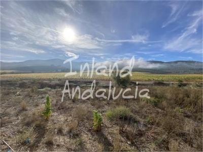 Acheter Local commercial 88 m2 Montefrio