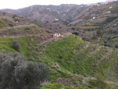 Vente Terrain Torrox  MA en Espagne