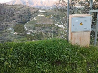 Acheter Terrain 28000 m2 Torrox