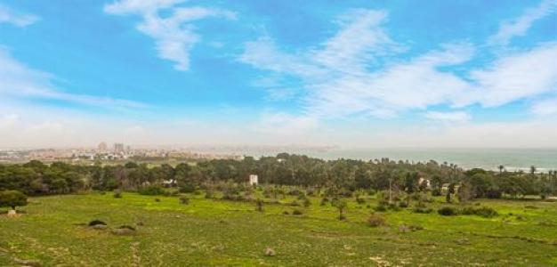 Acheter Appartement 80 m2 Torrevieja