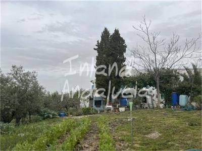 Acheter Maison 281 m2 Fuente-alamo