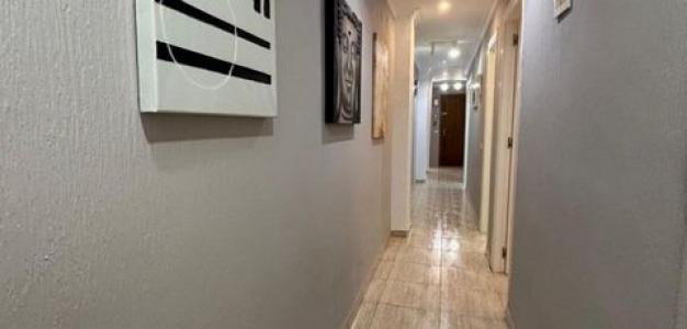 Acheter Appartement Torrevieja r�gion ALICANTE