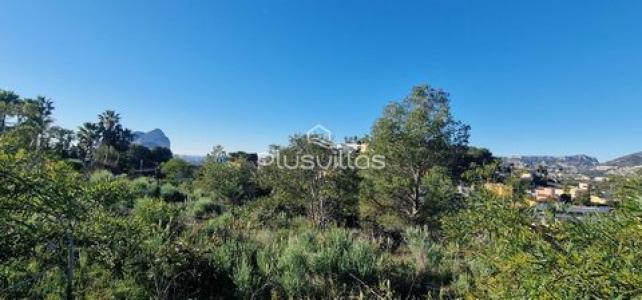Annonce Vente Terrain Calpe