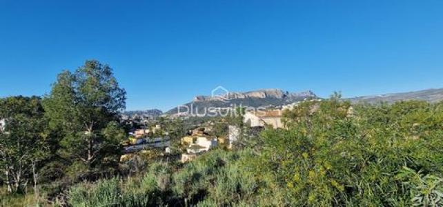 Acheter Terrain 803 m2 Calpe