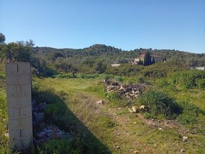 Acheter Terrain 1877 m2 Riba-roja-de-turia