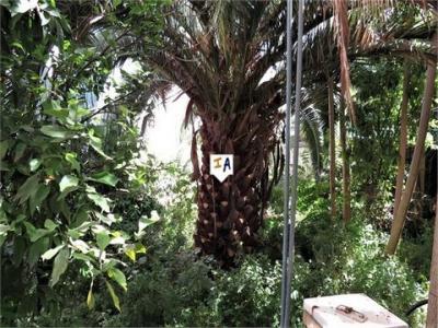 Acheter Maison 491 m2 Alcaudete