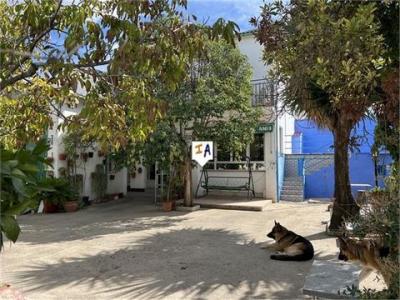 Annonce Vente Maison Rute