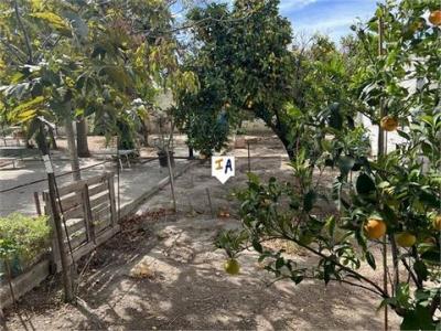 Acheter Maison Rute r�gion CORDOBA