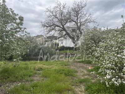 Annonce Vente Maison Priego-de-cordoba