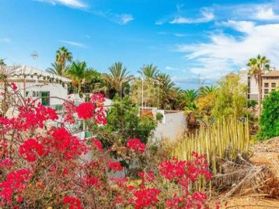 Acheter Maison Adeje r�gion SANTA-CRUZ-DE-TENERIFE