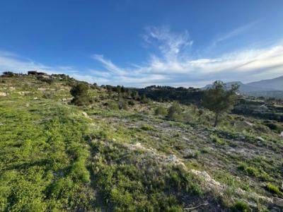 Acheter Terrain 10885 m2 Benissa