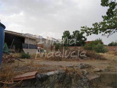 Acheter Maison Alcaudete r�gion JAEN