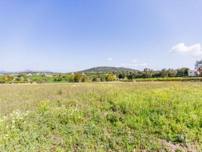 Vente Terrain Manacor  PM en Espagne