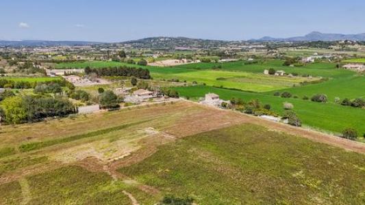 Annonce Vente Terrain Manacor