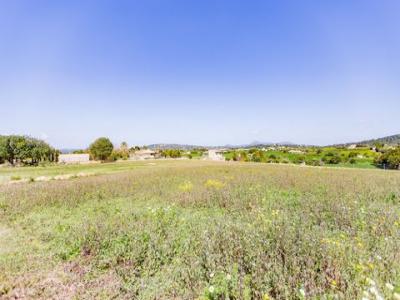 Acheter Terrain 16757 m2 Manacor