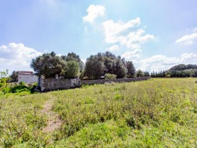 Acheter Terrain Manacor r�gion ISLAS-BALEARES