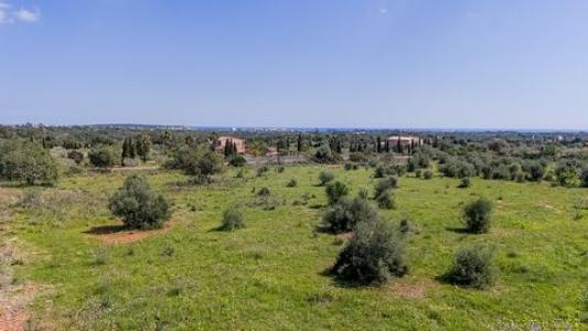 Annonce Vente Terrain Manacor