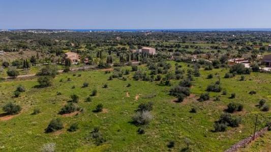 Acheter Terrain 14504 m2 Manacor