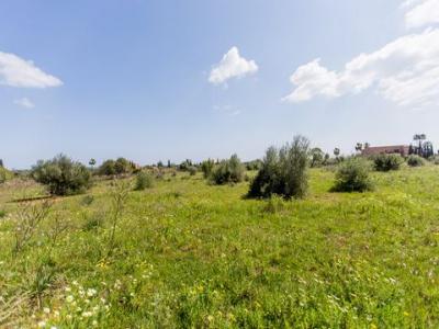Acheter Terrain Manacor r�gion ISLAS-BALEARES