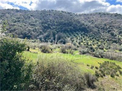 Vente Maison Valdepenas-de-jaen  J