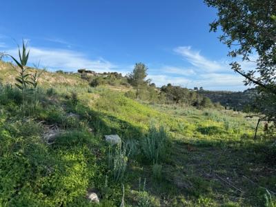 Acheter Terrain Benissa r�gion ALICANTE