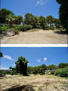 Acheter Terrain Alacant r�gion ALICANTE