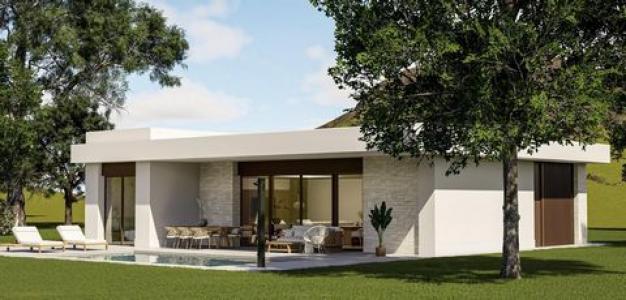 Vente Maison Pinoso  A en Espagne