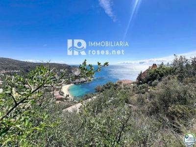 Acheter Maison Roses