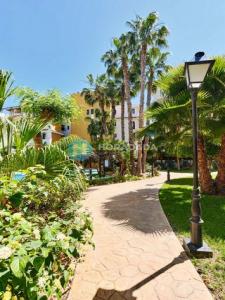 Acheter Appartement Torrevieja r�gion ALICANTE