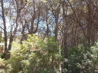 Acheter Terrain Moraira r�gion ALICANTE