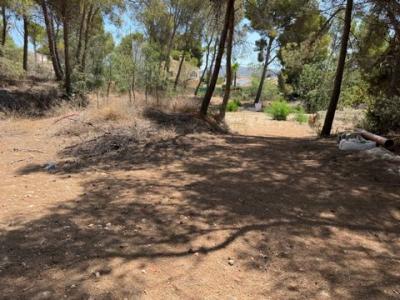 Annonce Vente Terrain Moraira