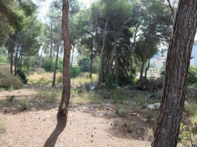 Acheter Terrain 832 m2 Moraira