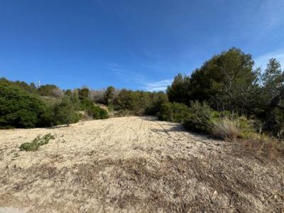 Acheter Terrain 11557 m2 Benissa